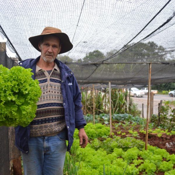 Exemplo a ser seguido: “Vamos tomar chimarrão na sombra das árvores que plantei”
