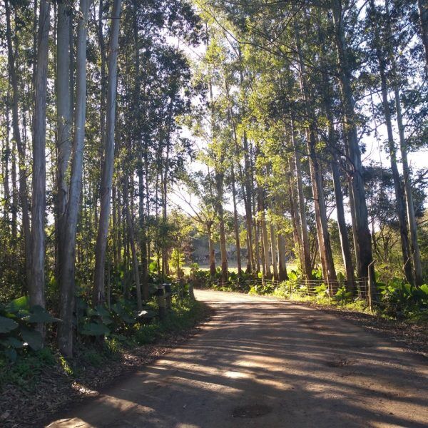 Projeto de turismo "Caminho Autoguiado" chega a Lajeado