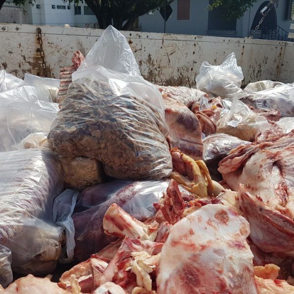 Em dois dias, força-tarefa do MP interdita quatro estabelecimentos
