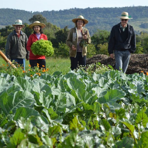 Consulta Popular: Vale seleciona projeto voltado à agricultura