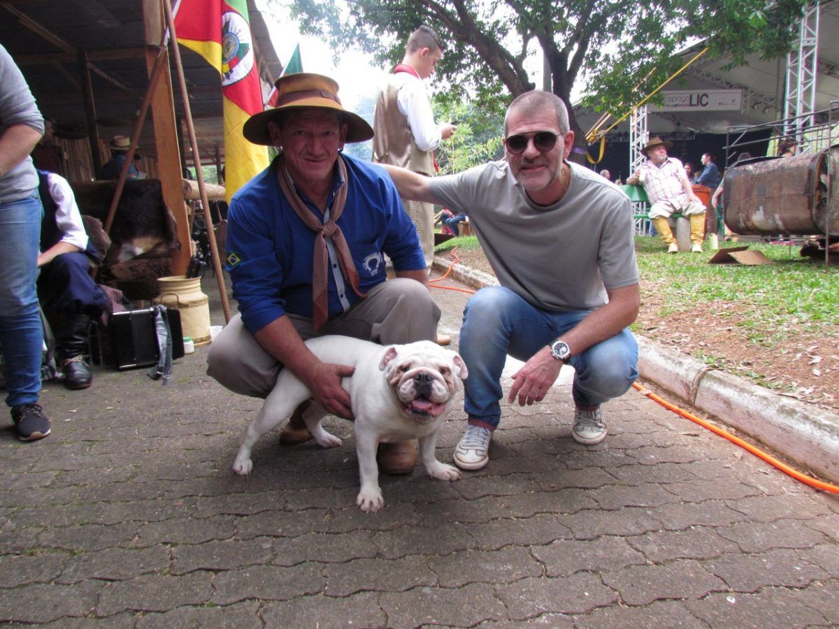 Conheça Dora, a ‘buldogue campeira’