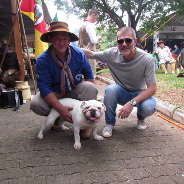 Conheça Dora, a ‘buldogue campeira’