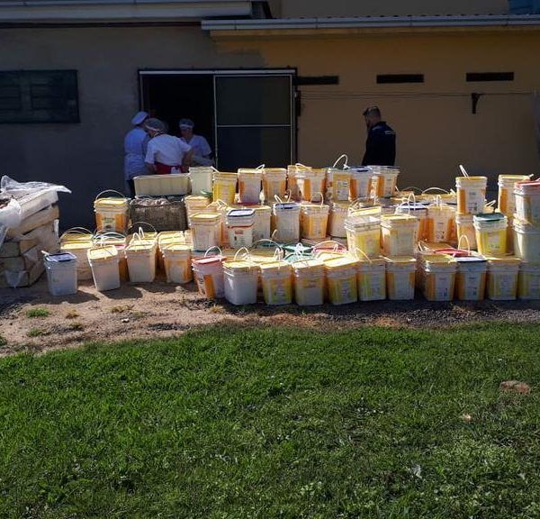 Fezes de rato são encontradas em fábrica de biscoito
