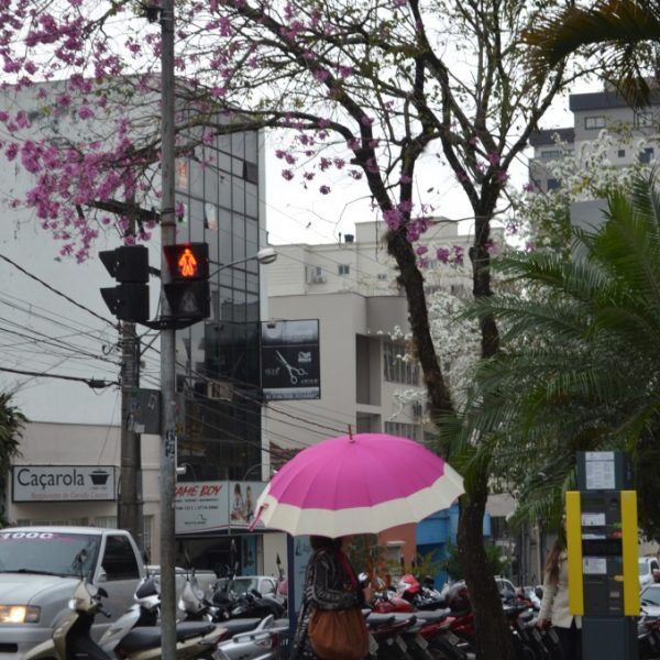 Confira a previsão do tempo para a semana