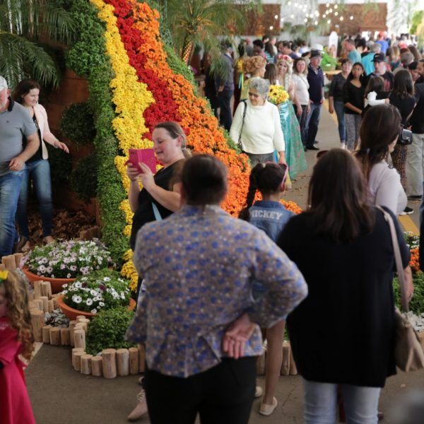 Santa Flor movimenta R$ 6 milhões em negócios