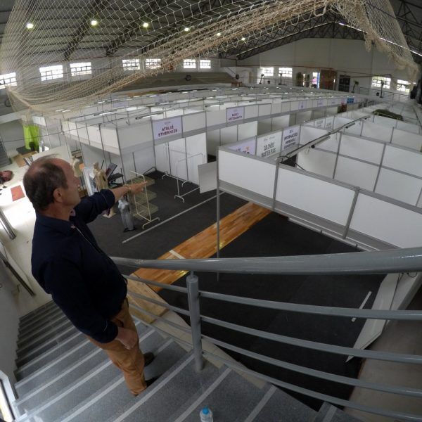 Ovelhaço da Apae e Expofaz: veja as atrações do fim de semana