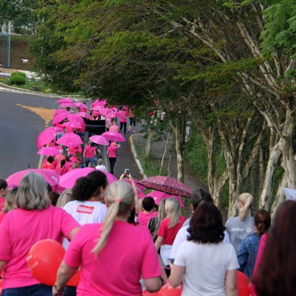 Parque Rosa ocorre nesta sexta-feira
