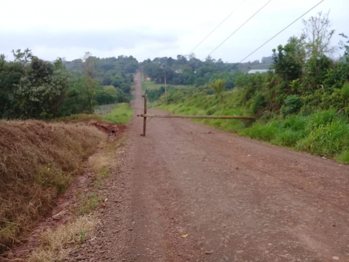Temporal causa estragos na região