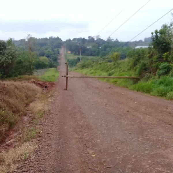 Temporal causa estragos na região