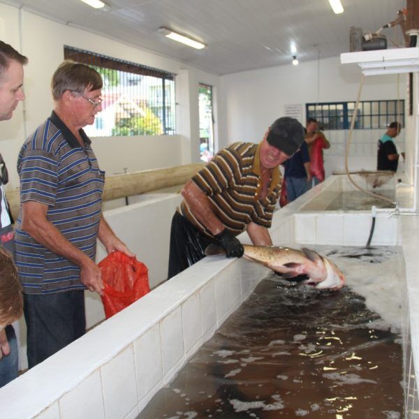 Feiras de peixe vivo movimentam a região