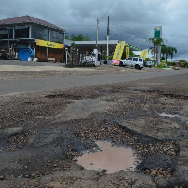 Moradores pintam e plantam árvore em buracos