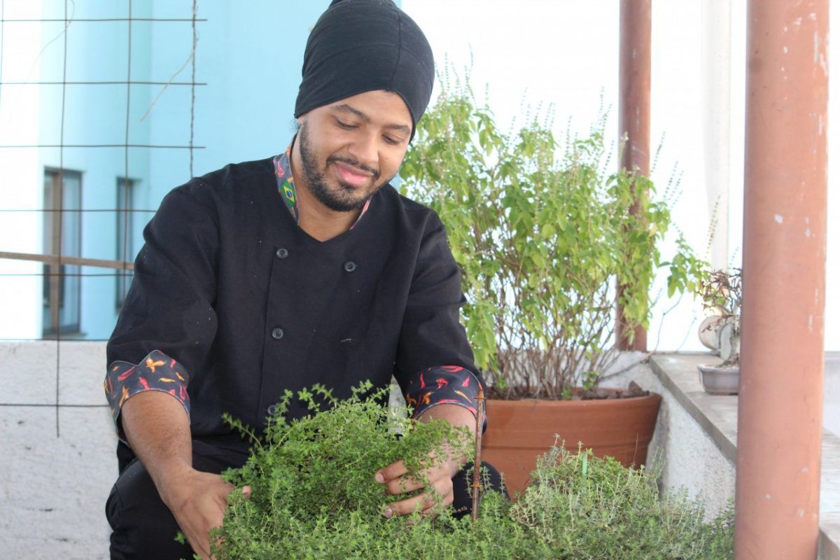 Do suave ao picante: temperos para cultivar em casa