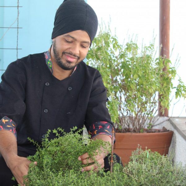 Do suave ao picante: temperos para cultivar em casa