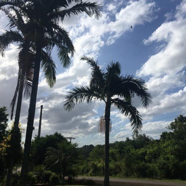 Semana do Natal será de tempo seco e calor