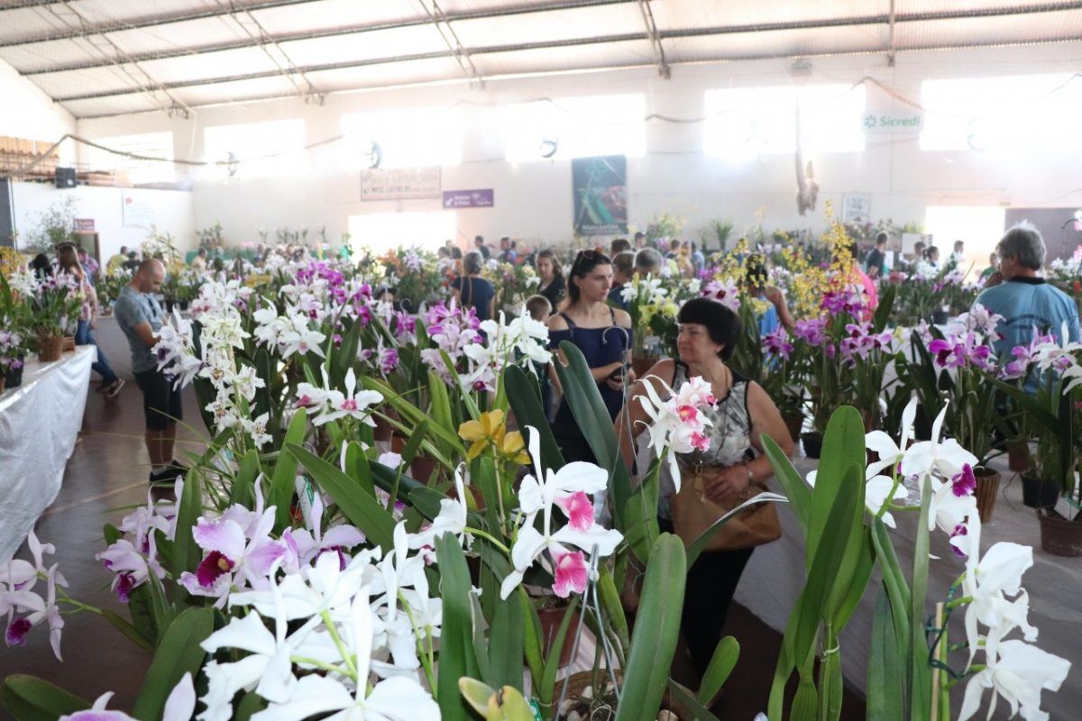 Festa das Orquídeas reúne cerca de 18 mil pessoas