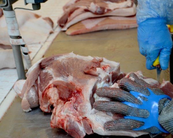 Preço do suíno bate recorde e sobe 74,1% no ano