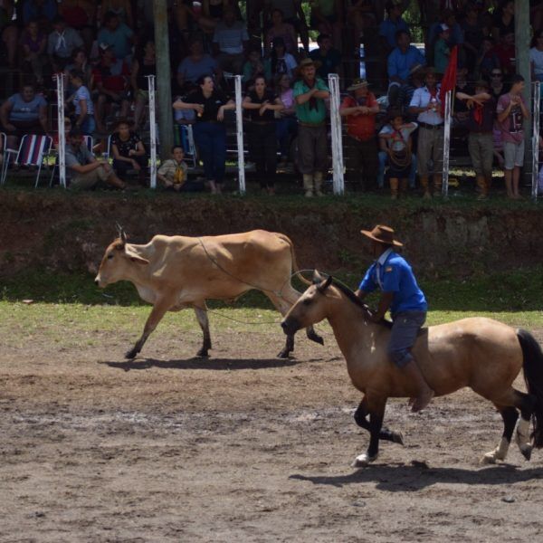 Rodeio supera expectativa e atrai cinco mil pessoas