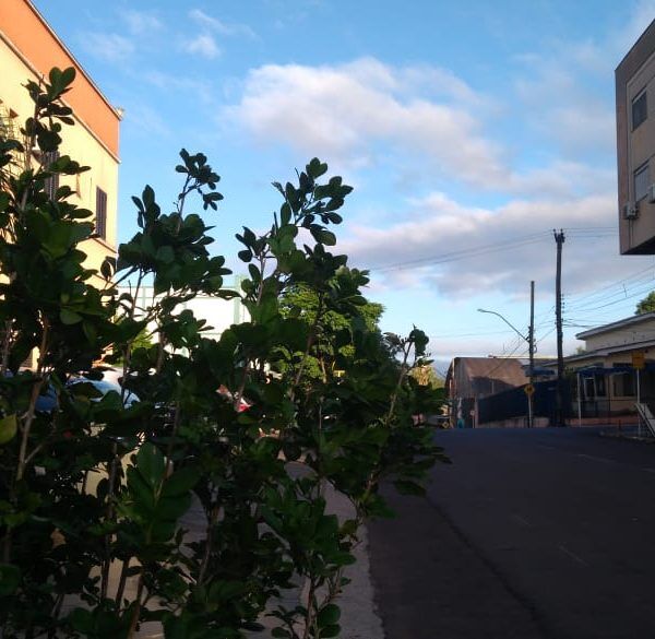 Fim de semana de sol e calor no Vale do Taquari
