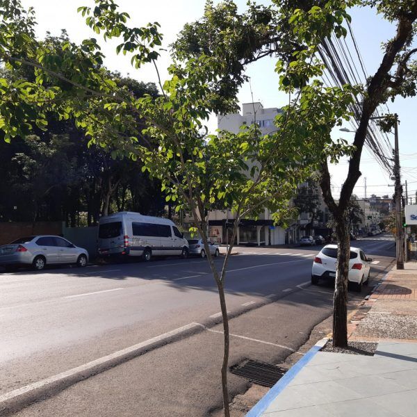 Manhã amena e tarde quente marcam o sábado no Vale