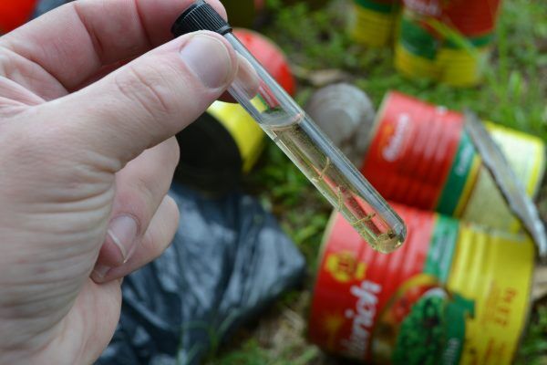 Primeiro caso de dengue é confirmado em Cruzeiro do Sul