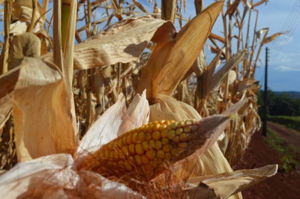 PIB do Rio Grande do Sul cai 3,3% no primeiro trimestre