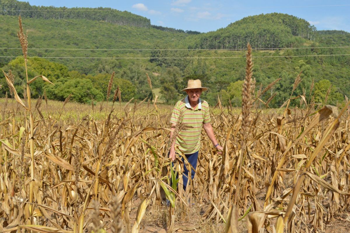 “Prioridade é prorrogar os prazos de pagamento de financiamentos”