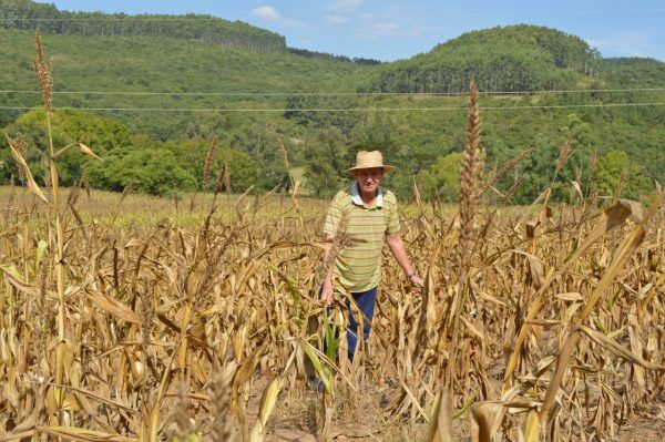 “Prioridade é prorrogar os prazos de pagamento de financiamentos”