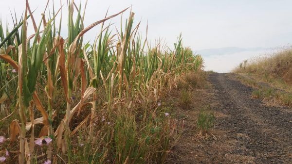 Terça-feira inicia com tempo nublado e temperaturas agradáveis