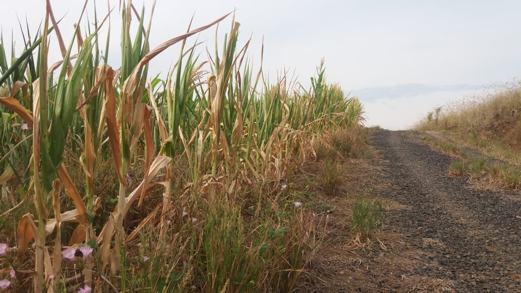 Terça-feira inicia com tempo nublado e temperaturas agradáveis