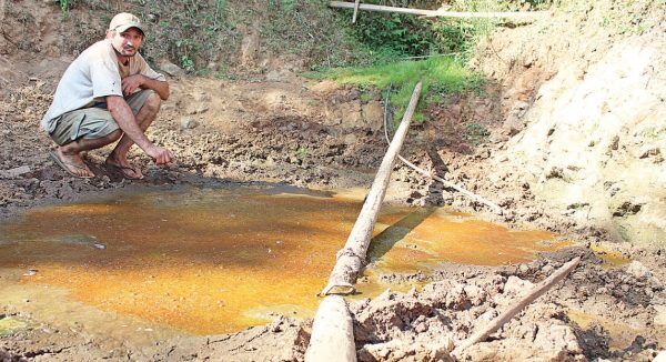 Estiagem castiga lavouras e atinge a economia