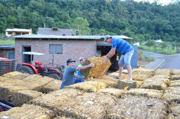 Compra de tabaco será interrompida