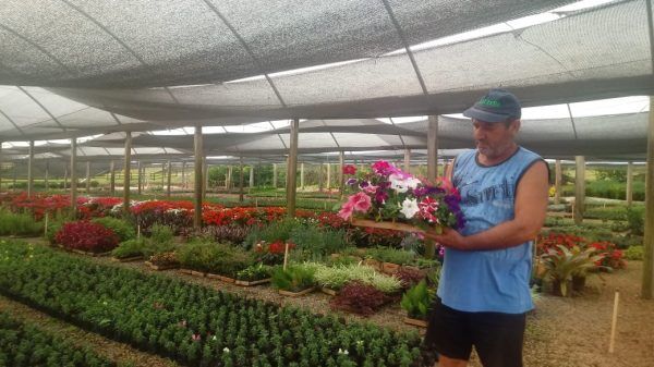“As vendas caíram 98%”, diz produtor