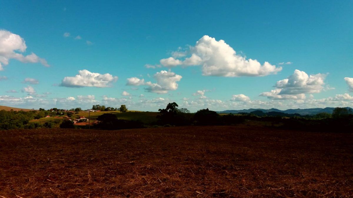 Feriado será de sol com temperatura elevada