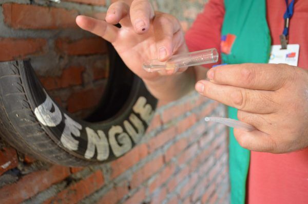 Apesar de surto no estado, região controla transmissão da dengue