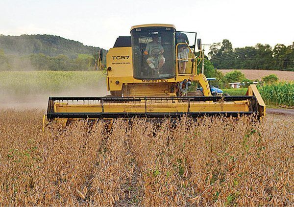 PIB gaúcho cai 7% em 2020