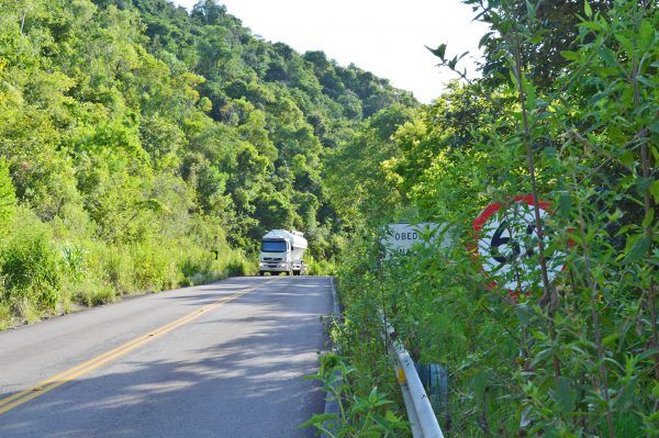 Vegetação invade rodovias e amplia risco a motoristas