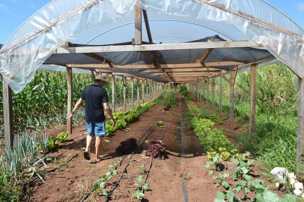 Produtores apostam em reposição de verba para viabilizar Pronaf