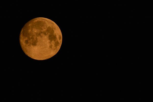 Superlua Rosa ocorre entre esta segunda e terça-feira