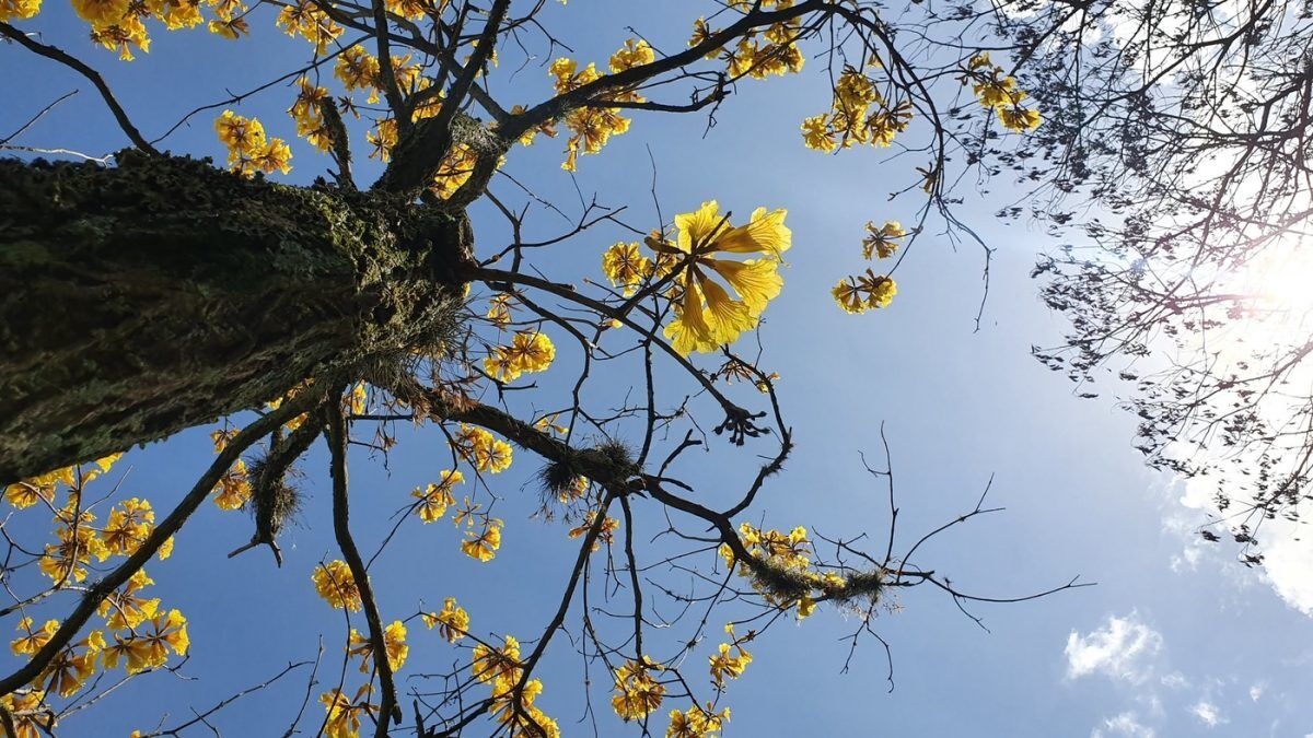 Primavera chega com sol no Vale do Taquari