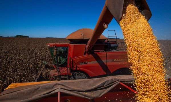 Balança comercial tem superávit de US$ 1,102 bi no início de outubro