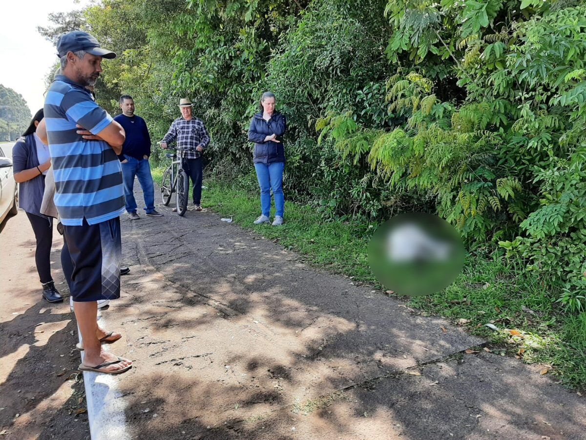 Cachorro é morto a tiros em Estrela