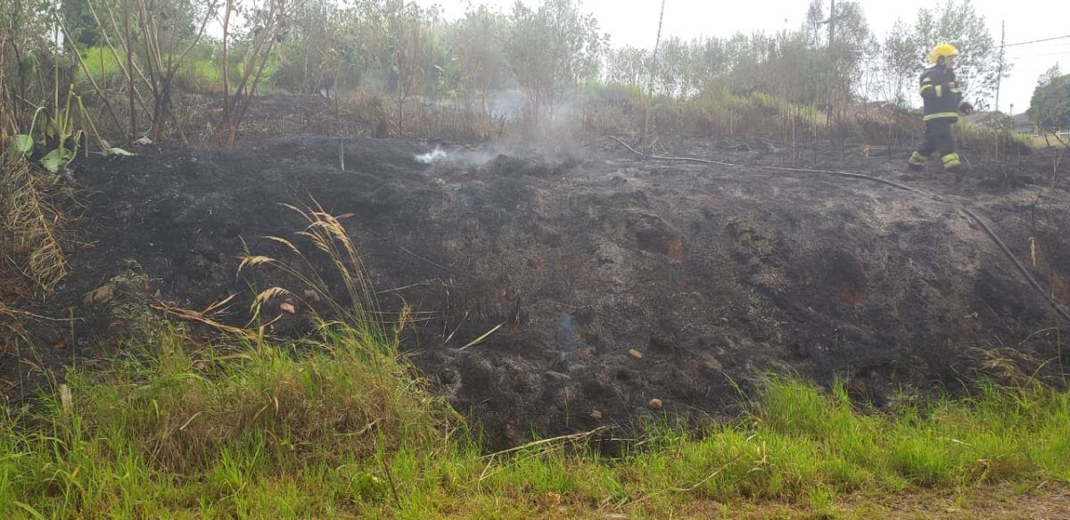 Incêndio em vegetação é controlado pelos bombeiros em Lajeado