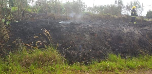 Incêndio em vegetação é controlado pelos bombeiros em Lajeado