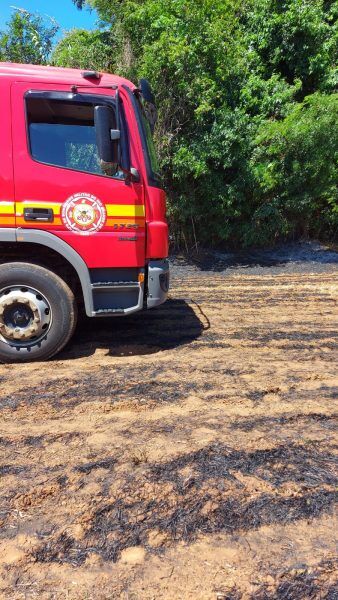 Incêndio em vegetação é registrado em Arroio do Meio