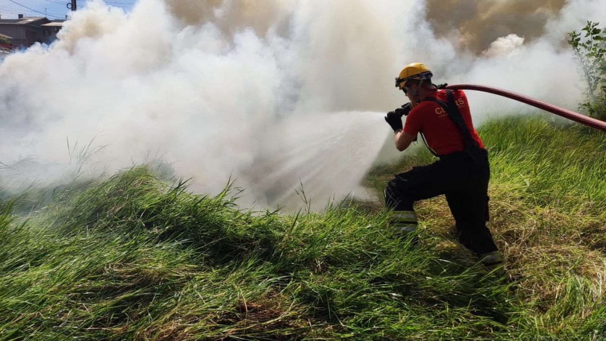 Bombeiros são acionados quatro vezes para ocorrência de fogo em vegetação