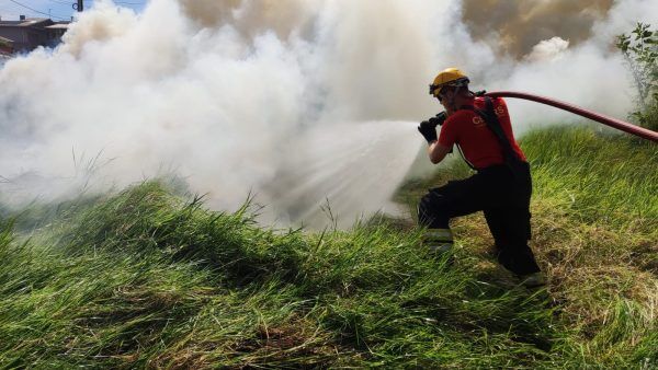 Bombeiros são acionados quatro vezes para ocorrência de fogo em vegetação