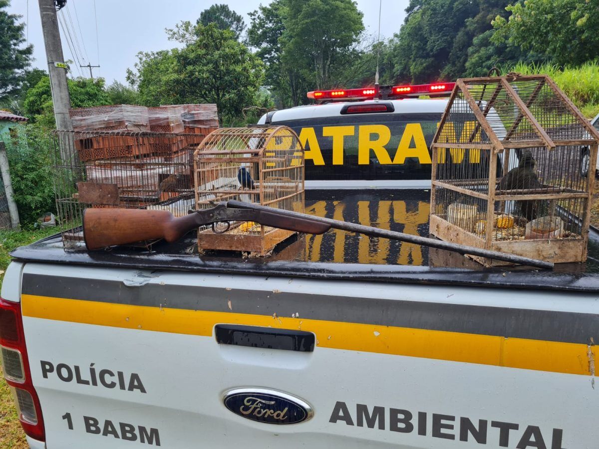 Homem é preso por porte ilegal de arma de fogo e crime ambiental