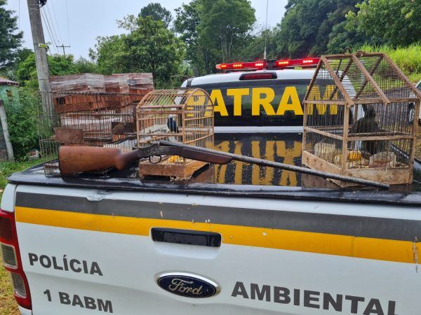 Homem é preso por porte ilegal de arma de fogo e crime ambiental