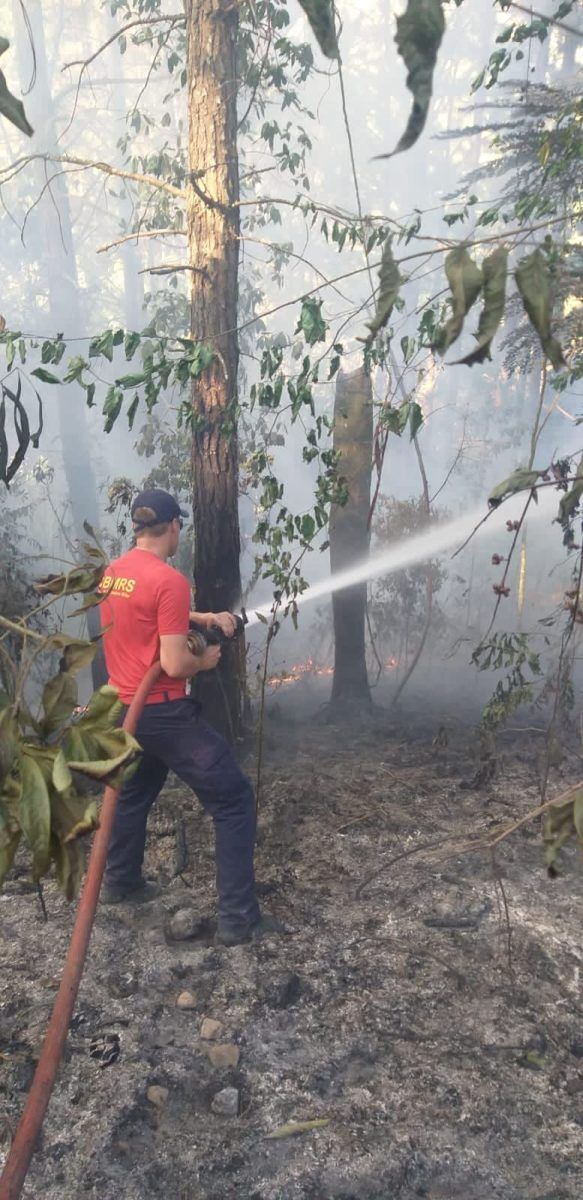 Incêndio atinge 2 hectares em Capitão
