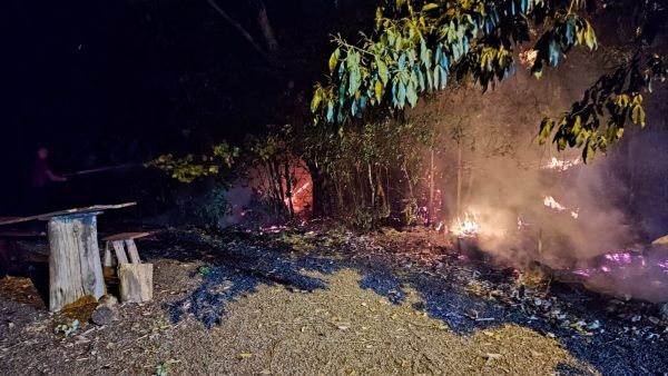 Fogo atinge vegetação no Bairro Campestre, em Lajeado